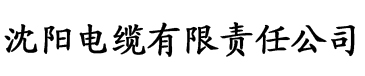 安妮影院电缆厂logo